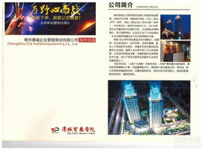 高端品牌策劃與VI設計 塑造企業(yè)形象的視覺之道